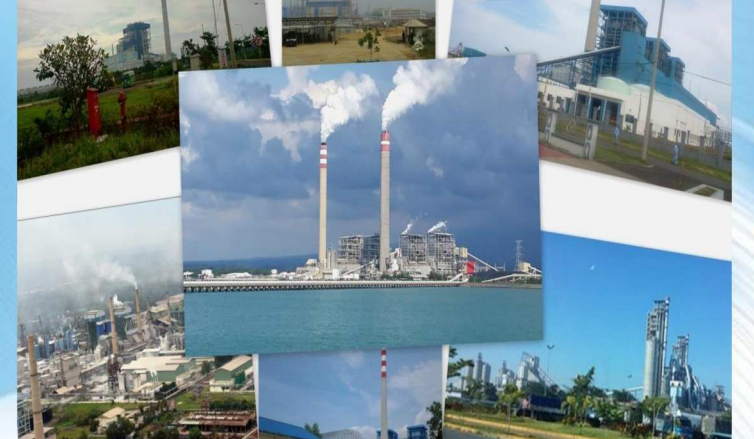 Vanilla curing process